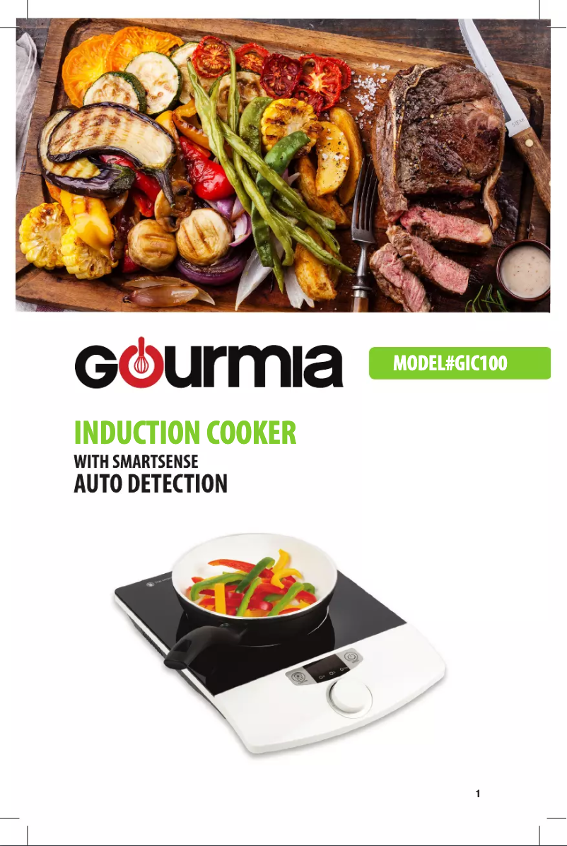 Page 1 of the manual User Manual Gourmia GIC100