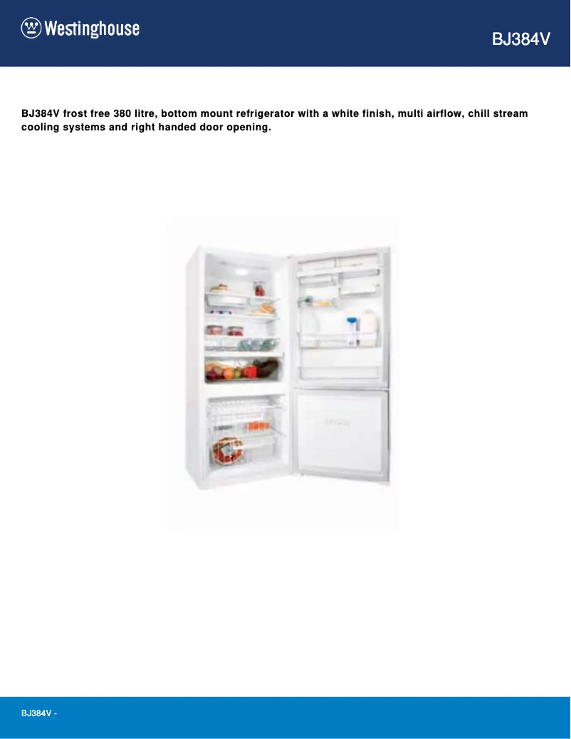 First page image of the manual for BJ384V