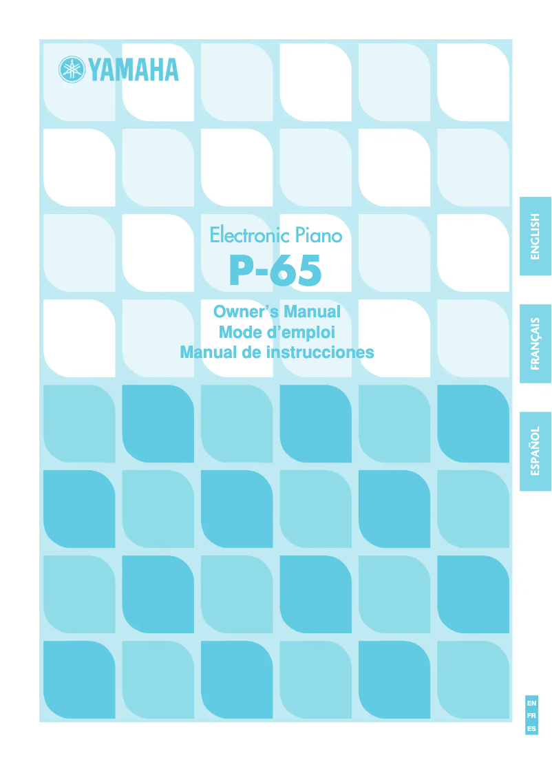 First page image of the manual for P-65