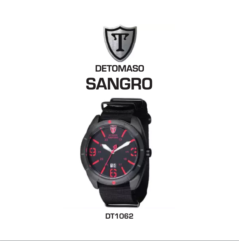 First page image of the manual for Sangro