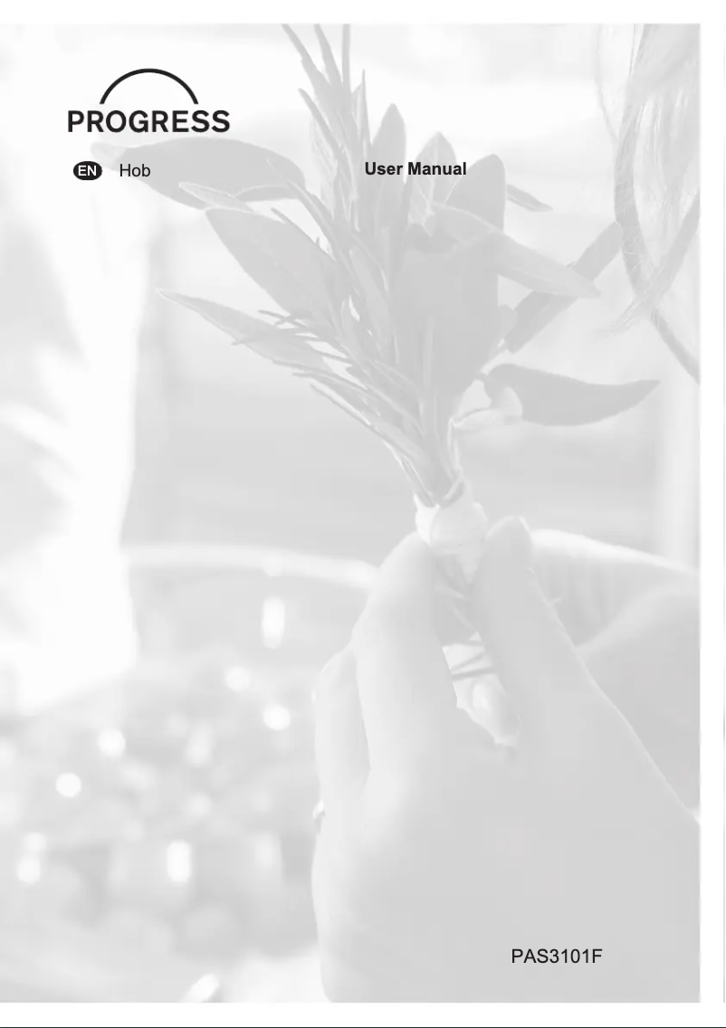 Page 1 of the manual User Manual Progress PAS3101F