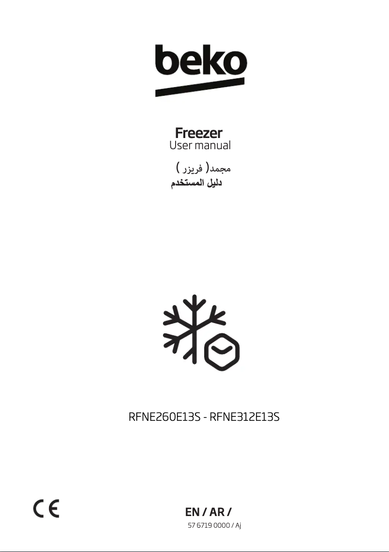 First page image of the manual for RFNE312E13S