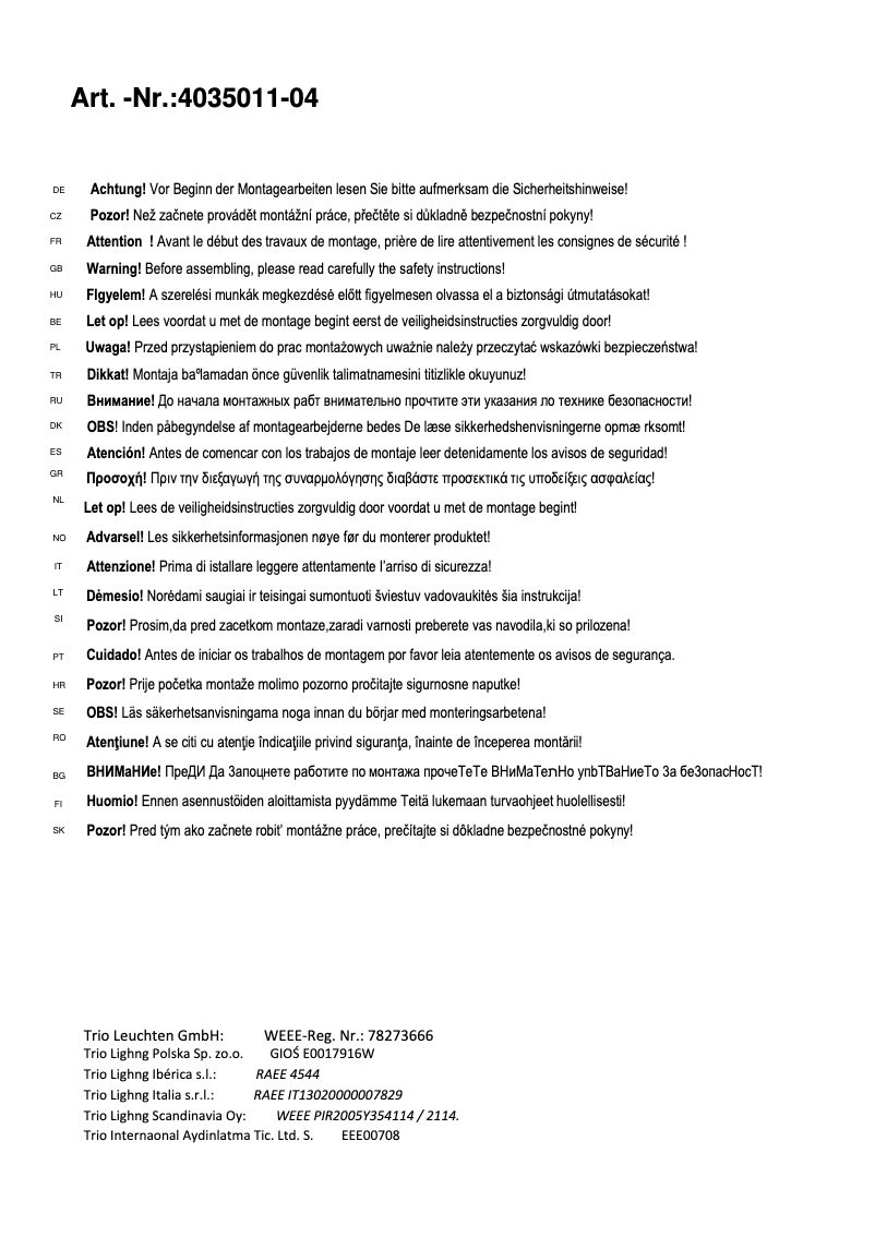 First page image of the manual for Icaro 4035011-04