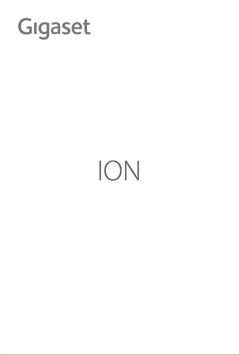 First page image of the manual for ION