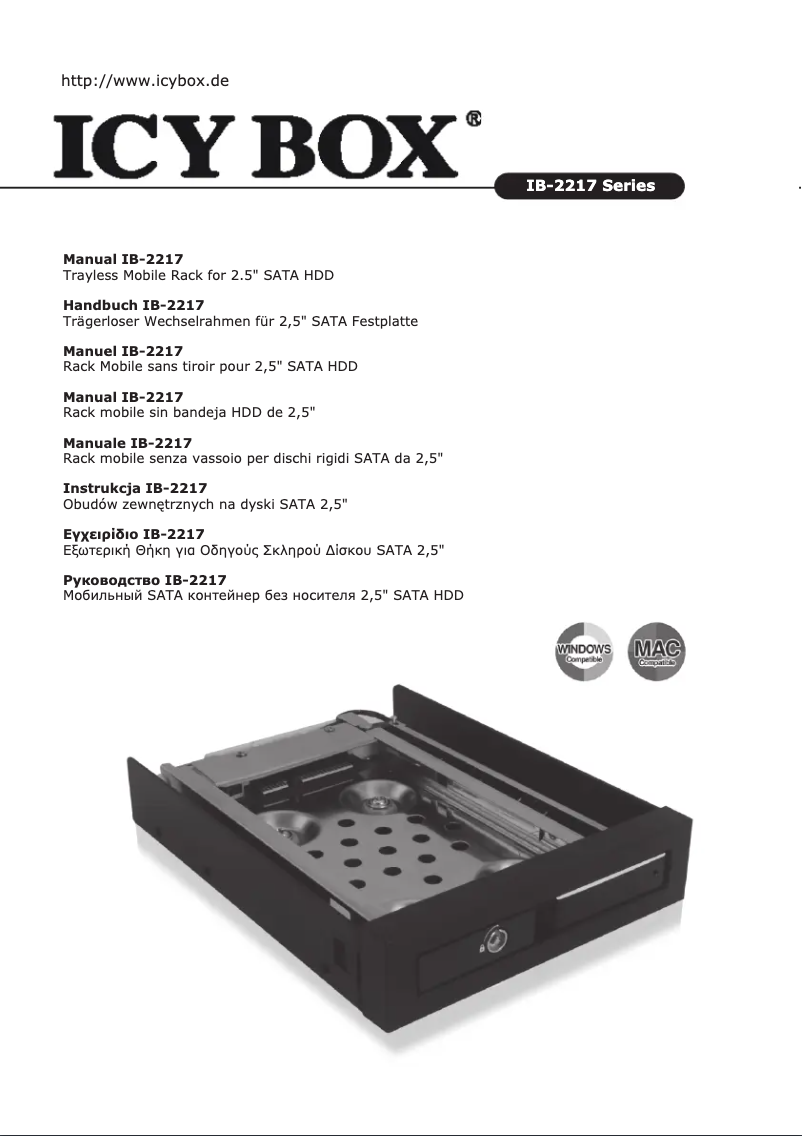 Page 1 of the manual Instruction Manual Icy Box IB-2217StS