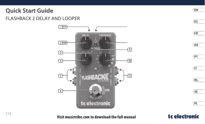 First page image of the manual for Flashback 2 Delay