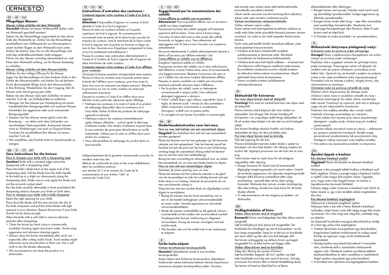 Page 1 of the manual User Manual Ernesto IAN 106854