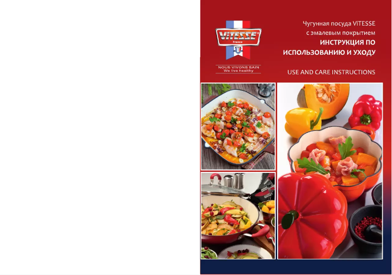 Page 1 of the manual User Manual ViTESSE VS-2309