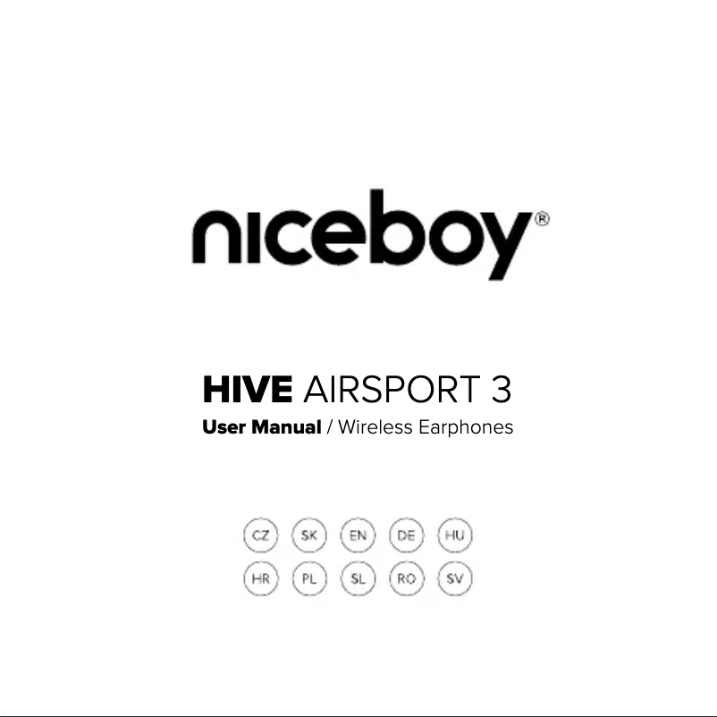 Page 1 of the manual User Manual Niceboy HIVE Airsport 3