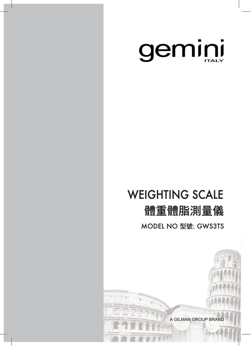 First page image of the manual for GWS3TS