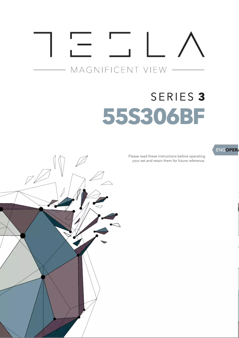 Page 1 of the manual User Manual Tesla 55S306BF