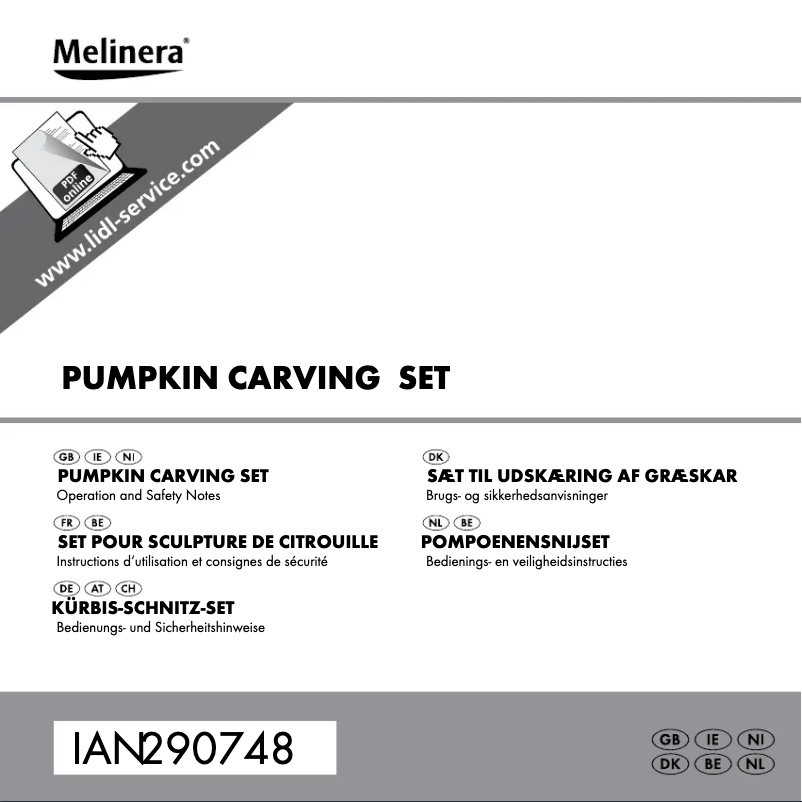 First page image of the manual for IAN 290748