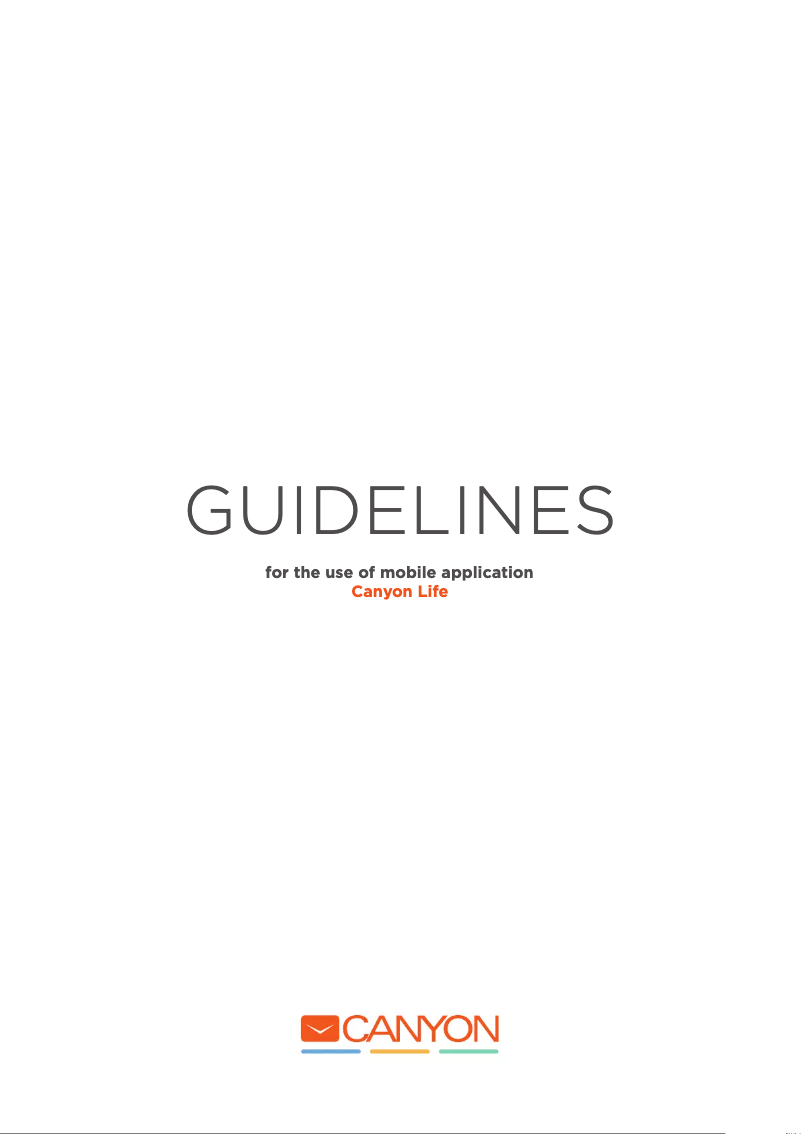 First page image of the manual for Wildberry