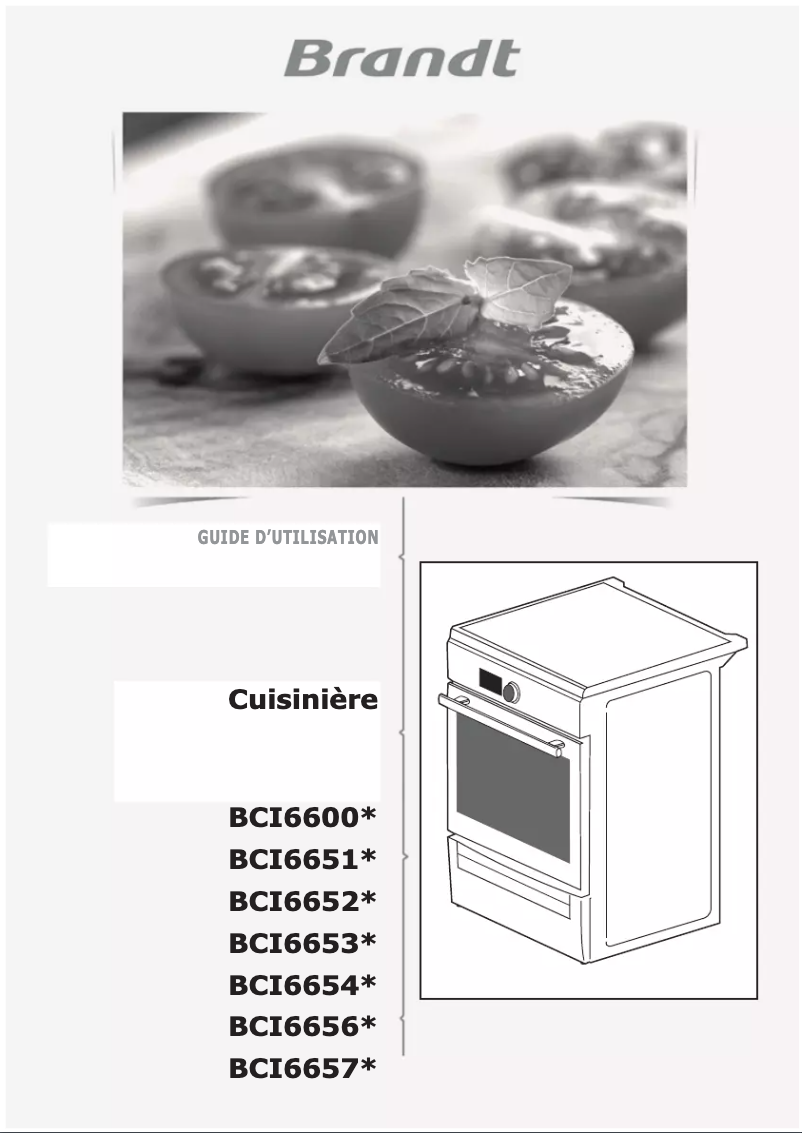 Page 1 of the manual User Manual Brandt BCI6656A