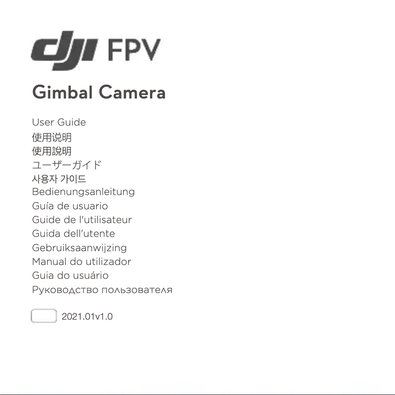 Page 1 of the manual User Manual DJI FPV Gimbal Camera