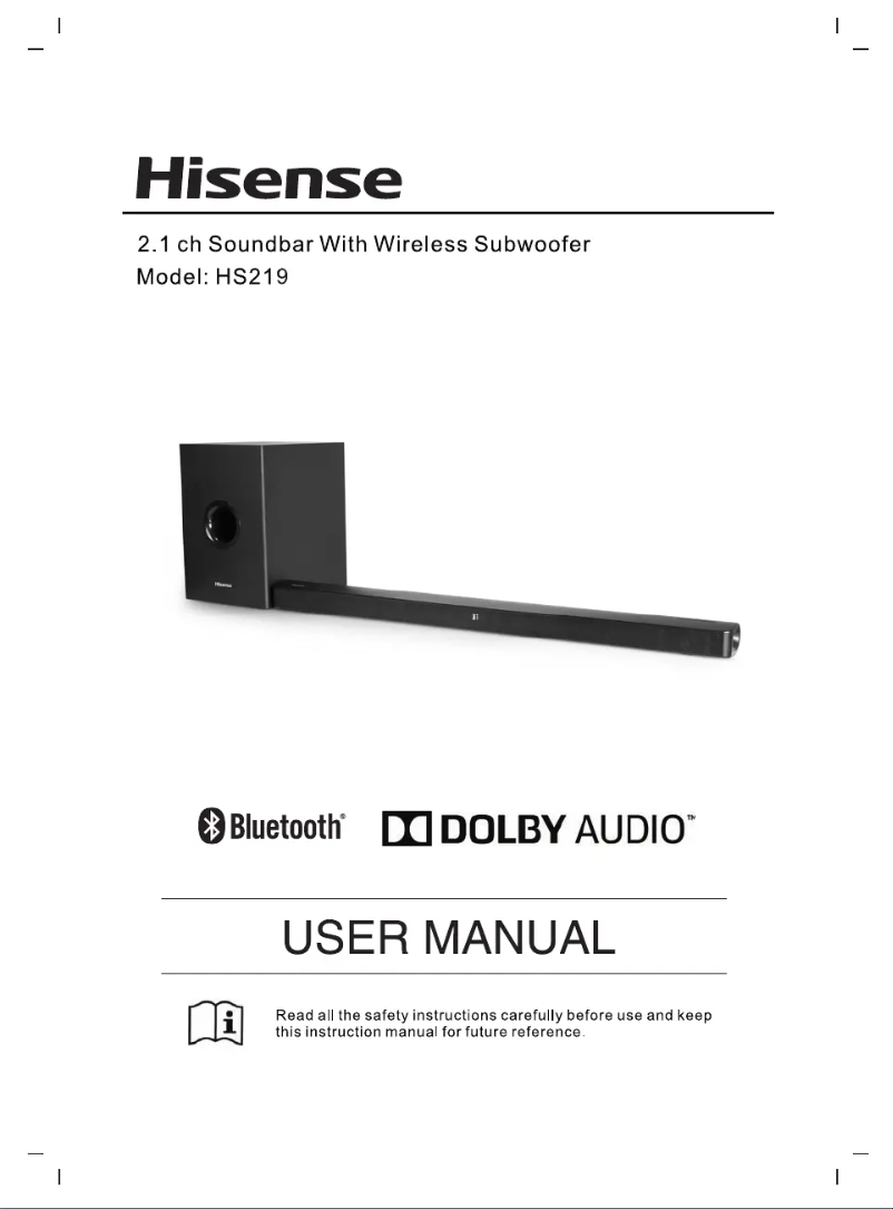 Page 1 of the manual User Manual Hisense HS219