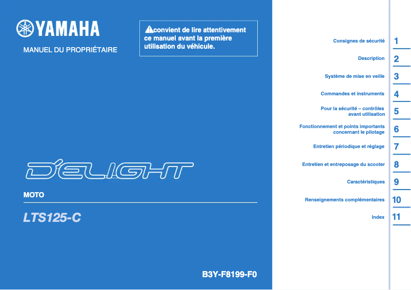 Page 1 of the manual User Manual Yamaha D'Elight (2021)