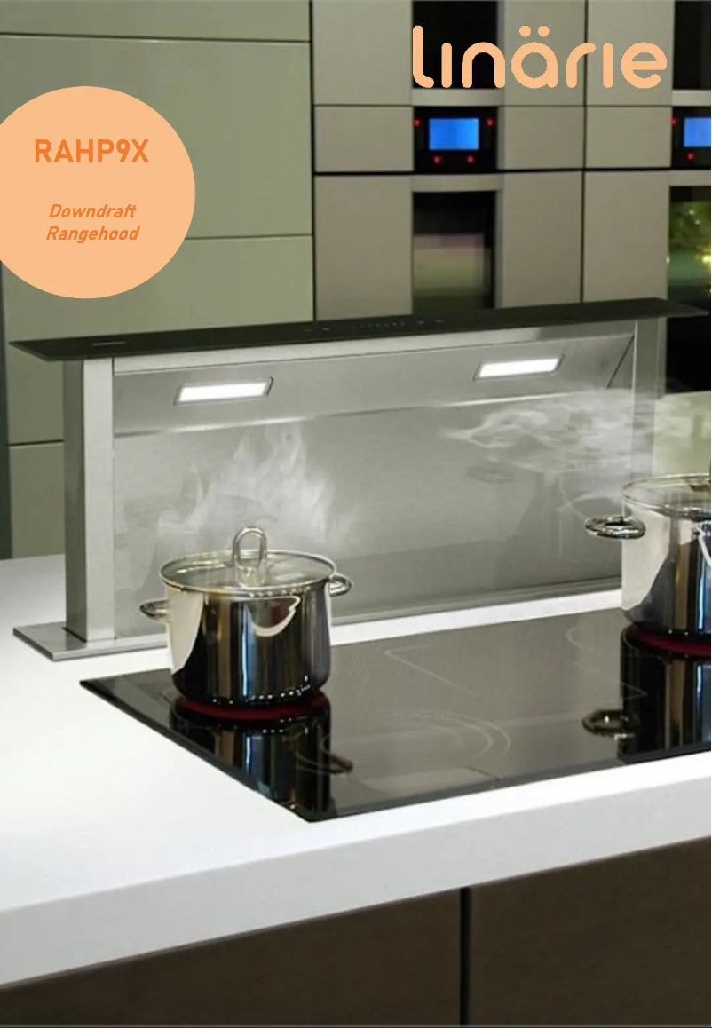 Page 1 of the manual Technical Sheet Linarie Marseille RAHP9X