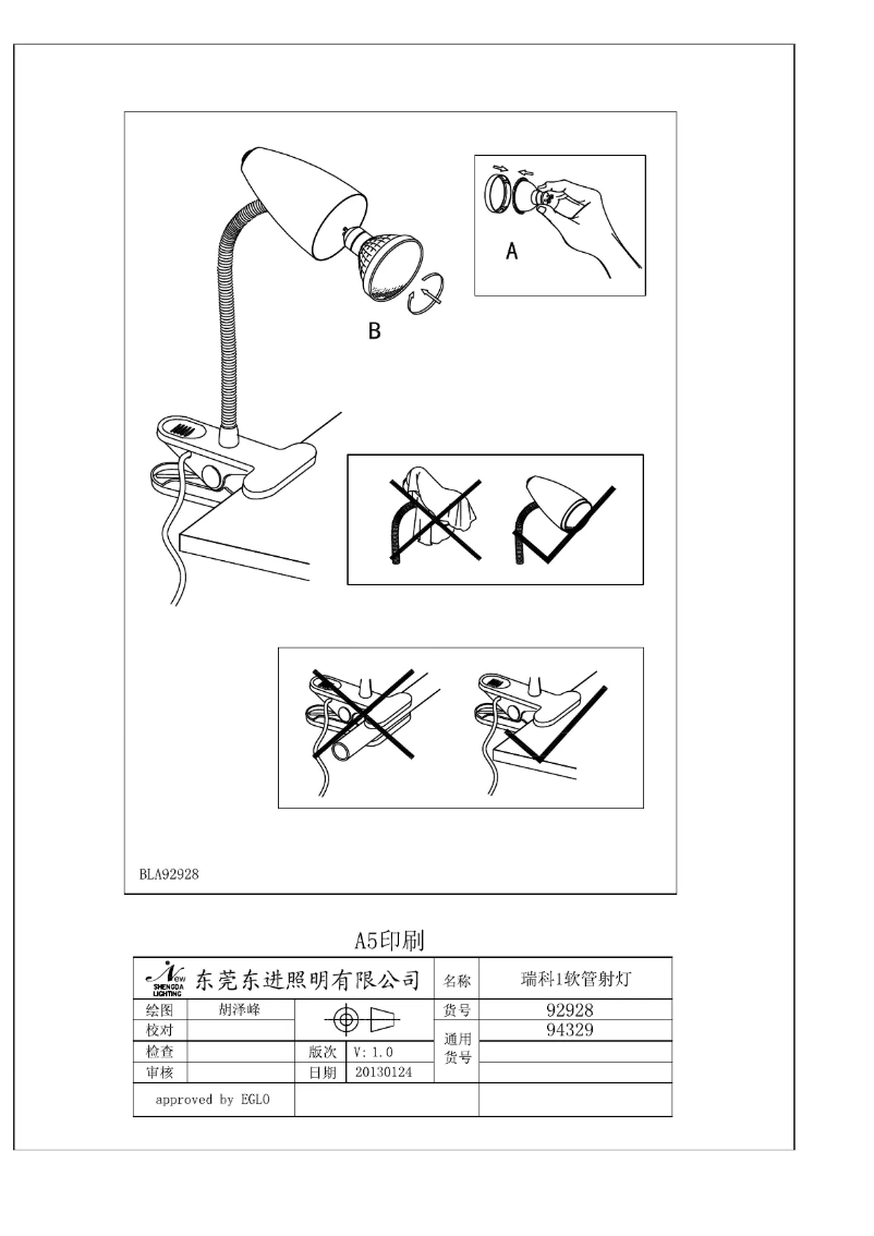 Page 1 of the manual User Manual Eglo Riccio 1