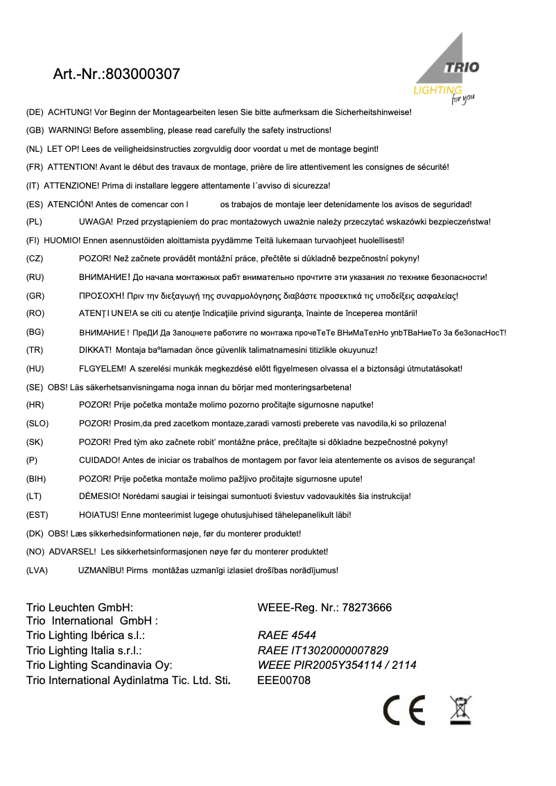 Page 1 of the manual User Manual Trio Lighting Michael 803000307