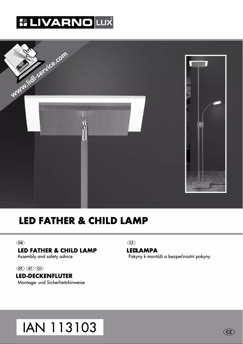 First page image of the manual for IAN 113103