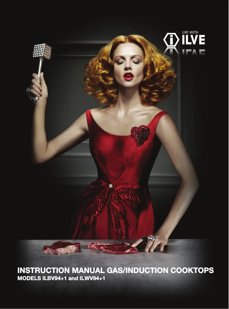 First page image of the manual for ILBV94+1