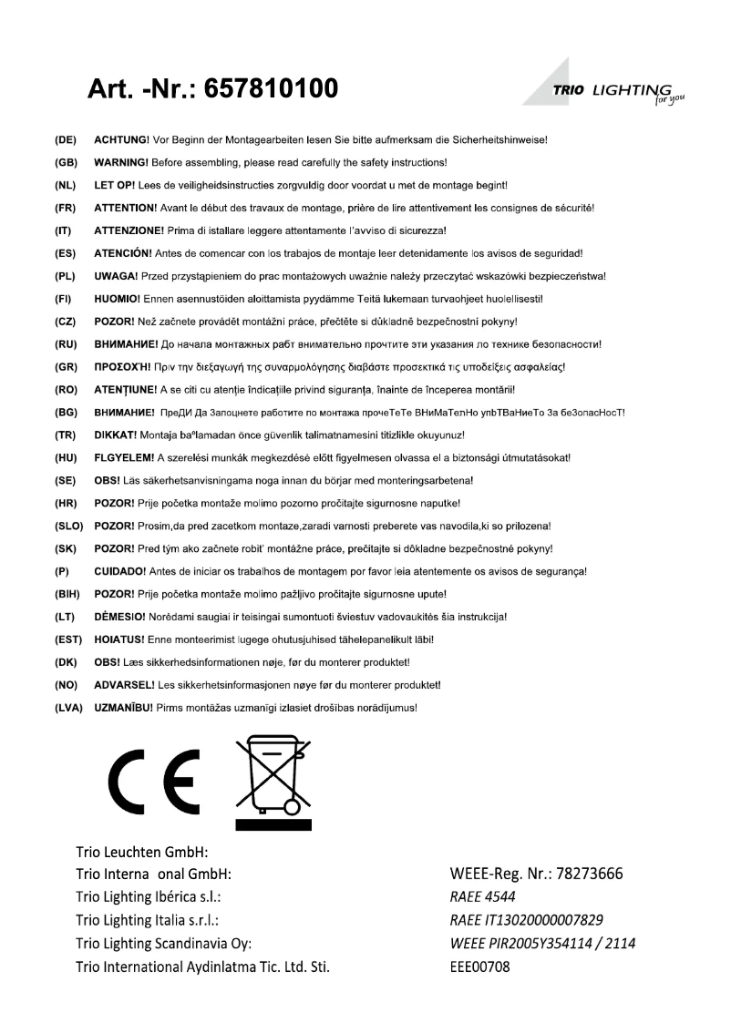 Page 1 of the manual User Manual Trio Lighting Condor 657810100