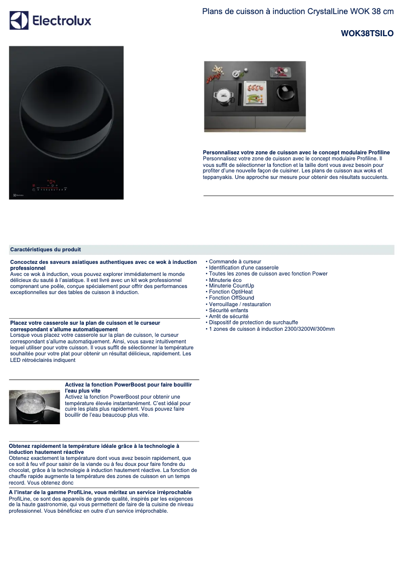 Page 1 of the manual Technical Sheet Electrolux WOK38TSILO