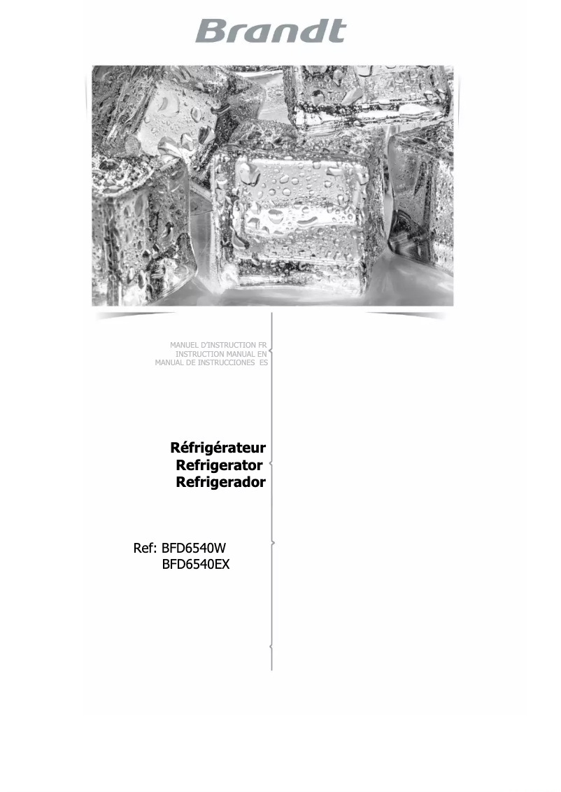 Image de la première page du manuel de l'appareil BFD6540EX