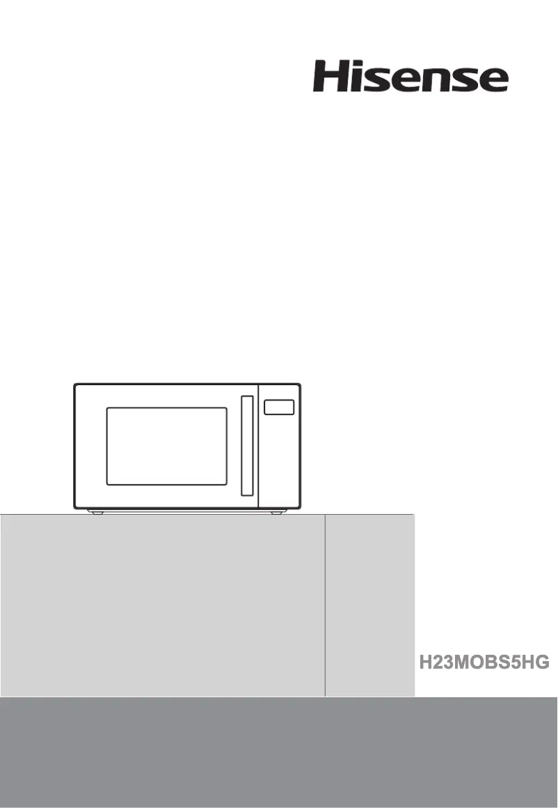Page 1 of the manual User Manual Hisense H23MOBS5H