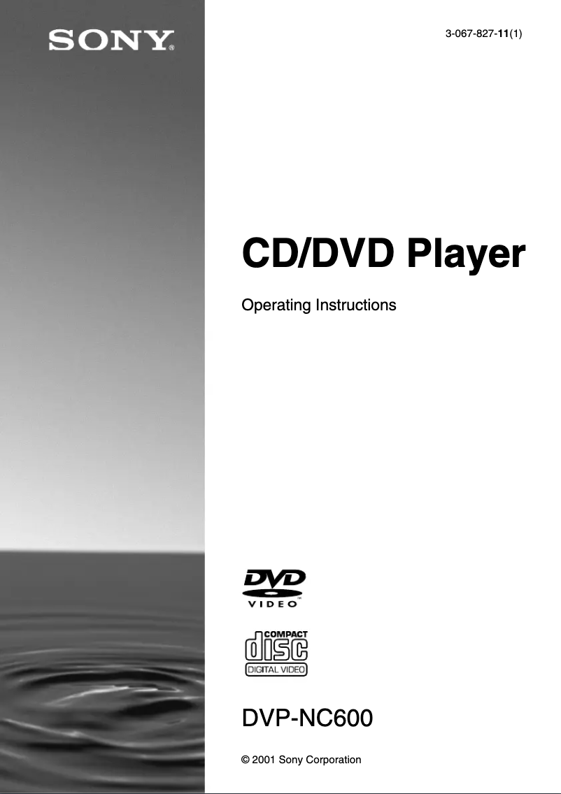 Page 1 of the manual User Manual Sony DAV-L8100