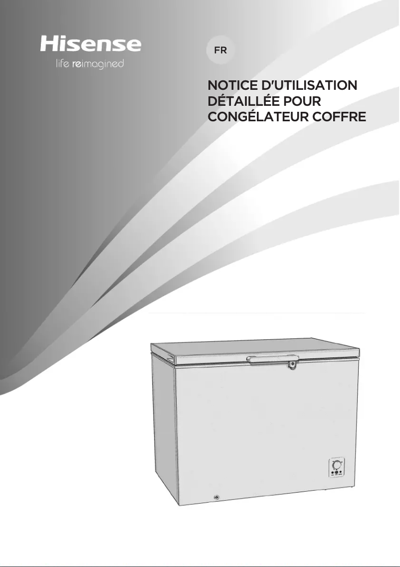 Page 1 of the manual User Manual Hisense FC594D4AW1