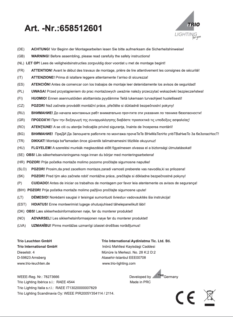 Page 1 of the manual User Manual Trio Lighting Concorde 658512601