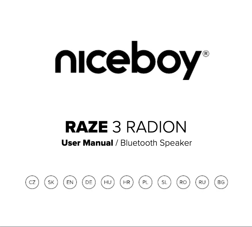 Page 1 of the manual User Manual Niceboy RAZE 3 Radion