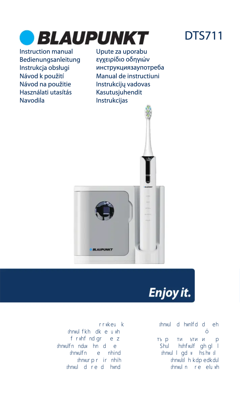 Page 1 of the manual User Manual Blaupunkt DTS711