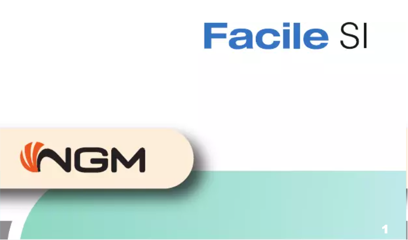 First page image of the manual for Facile Si