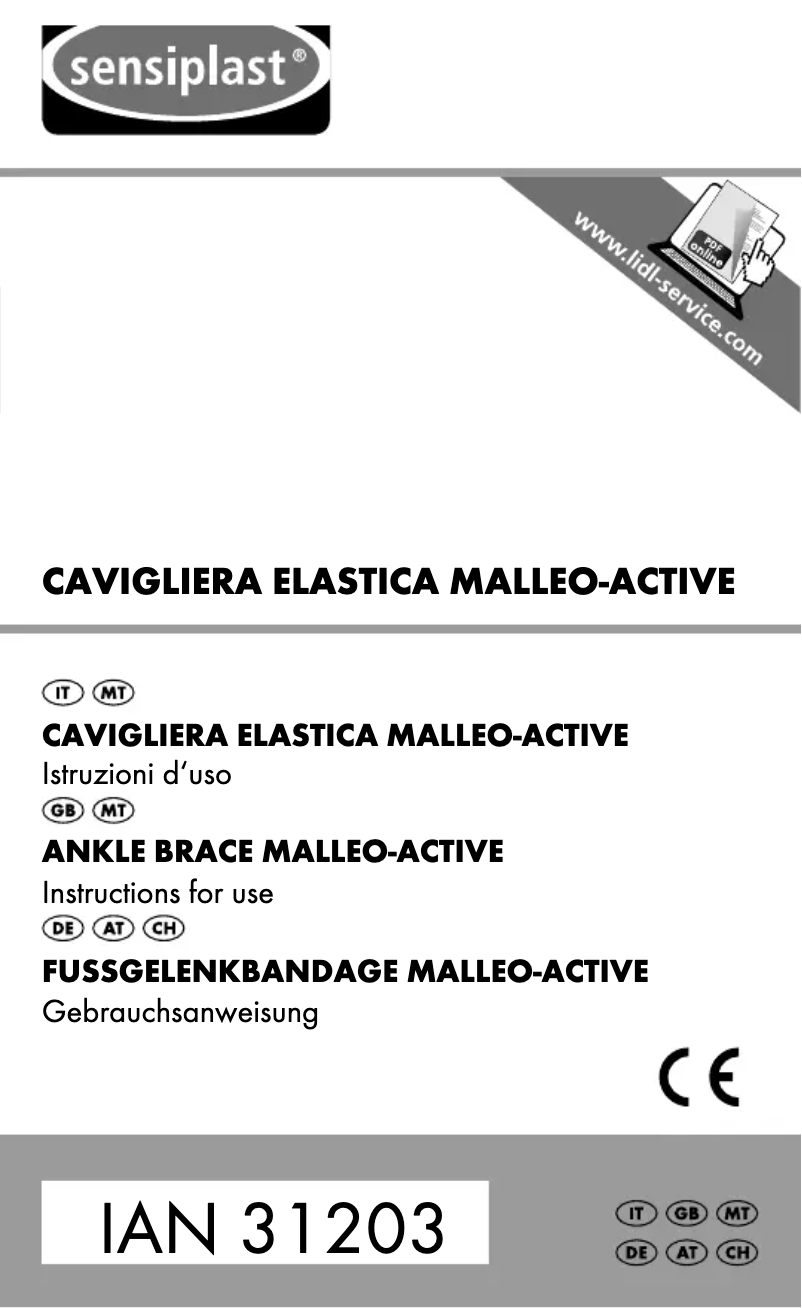 First page image of the manual for IAN 031203