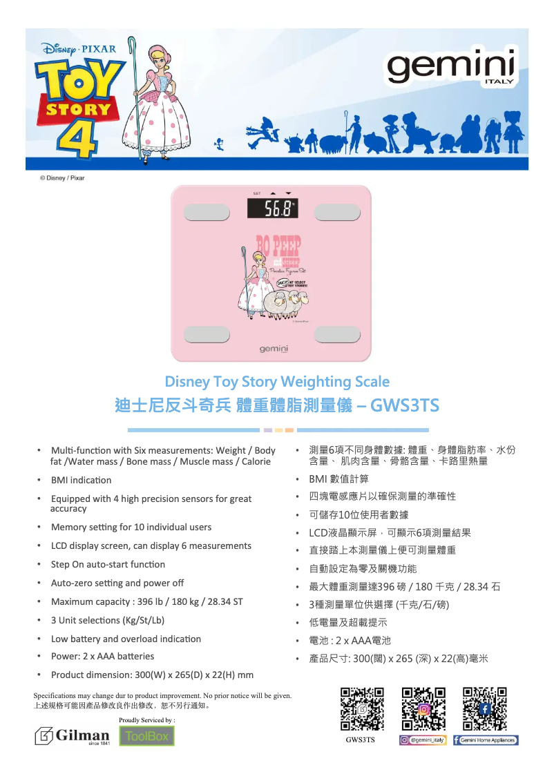 First page image of the manual for GWS3TS