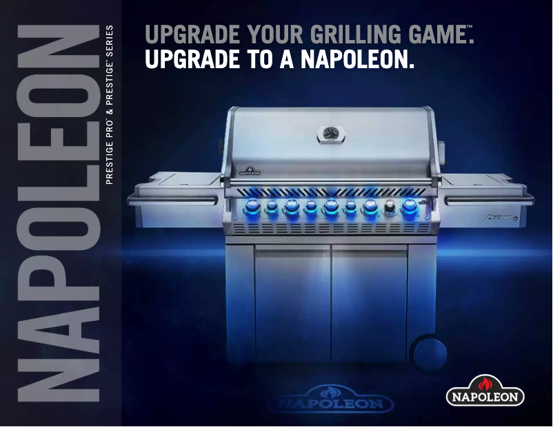 Page 1 of the manual Brochure Napoleon Prestige PRO 500