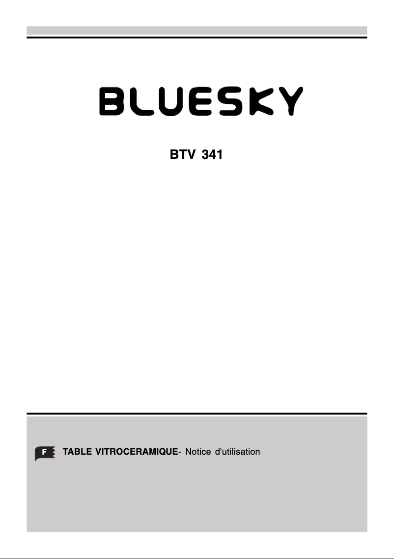 Page 1 of the manual User Manual Bluesky BTV 341