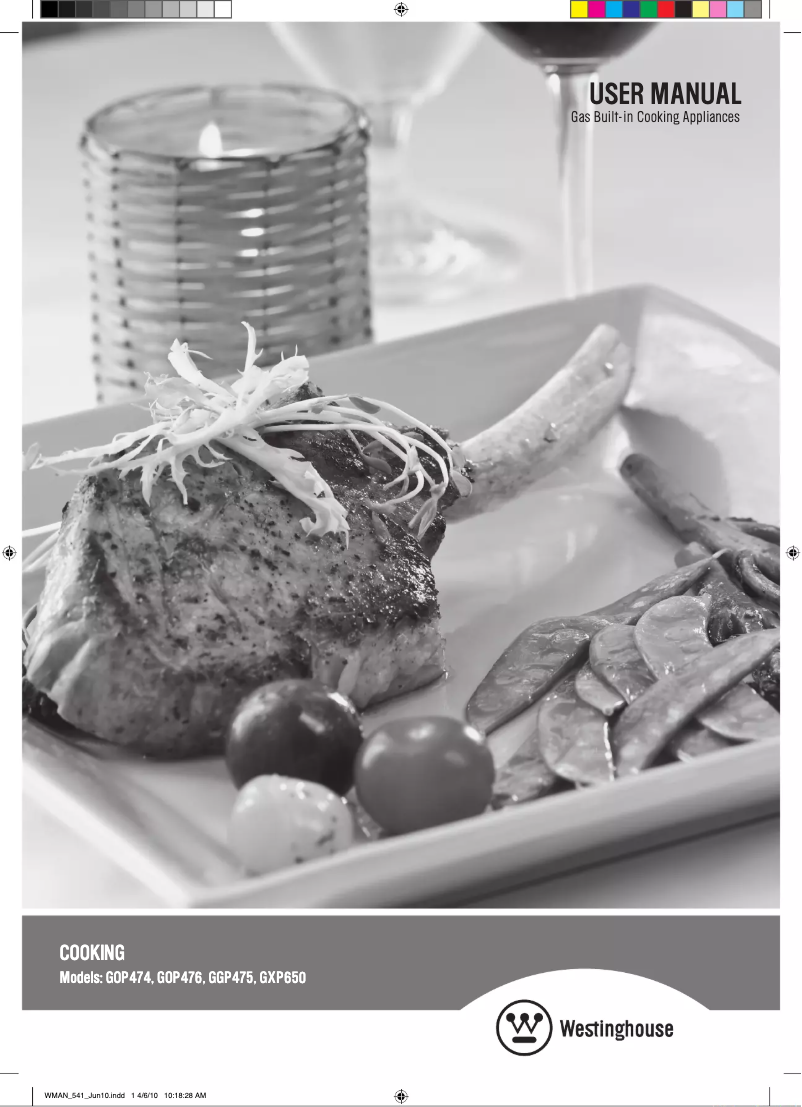 First page image of the manual for GOP476W