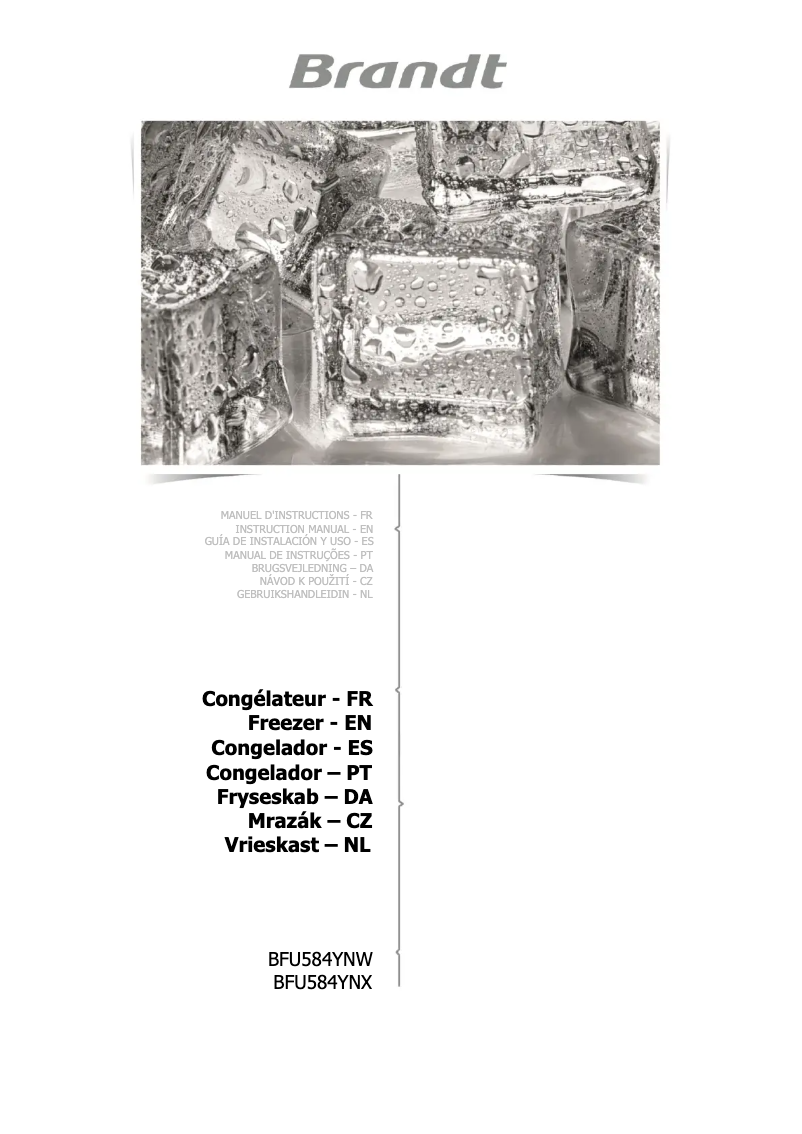 Image de la première page du manuel de l'appareil BFU584YNX