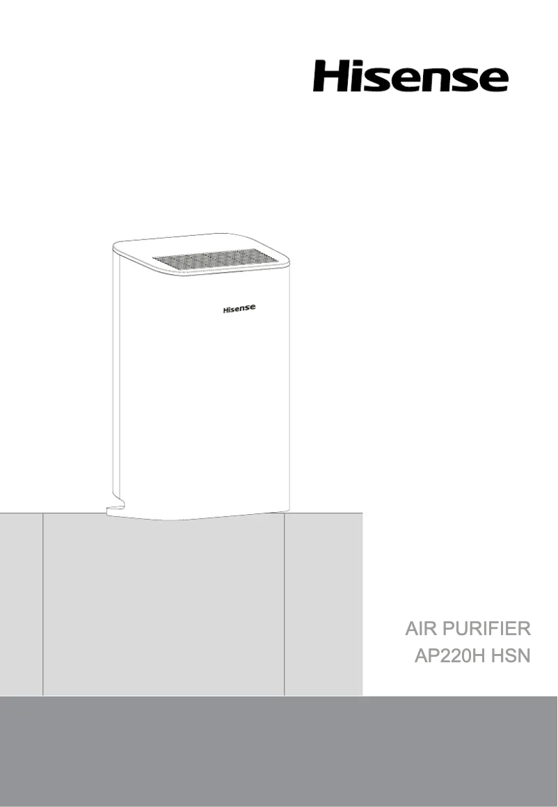 Page 1 of the manual User Manual Hisense AP220H