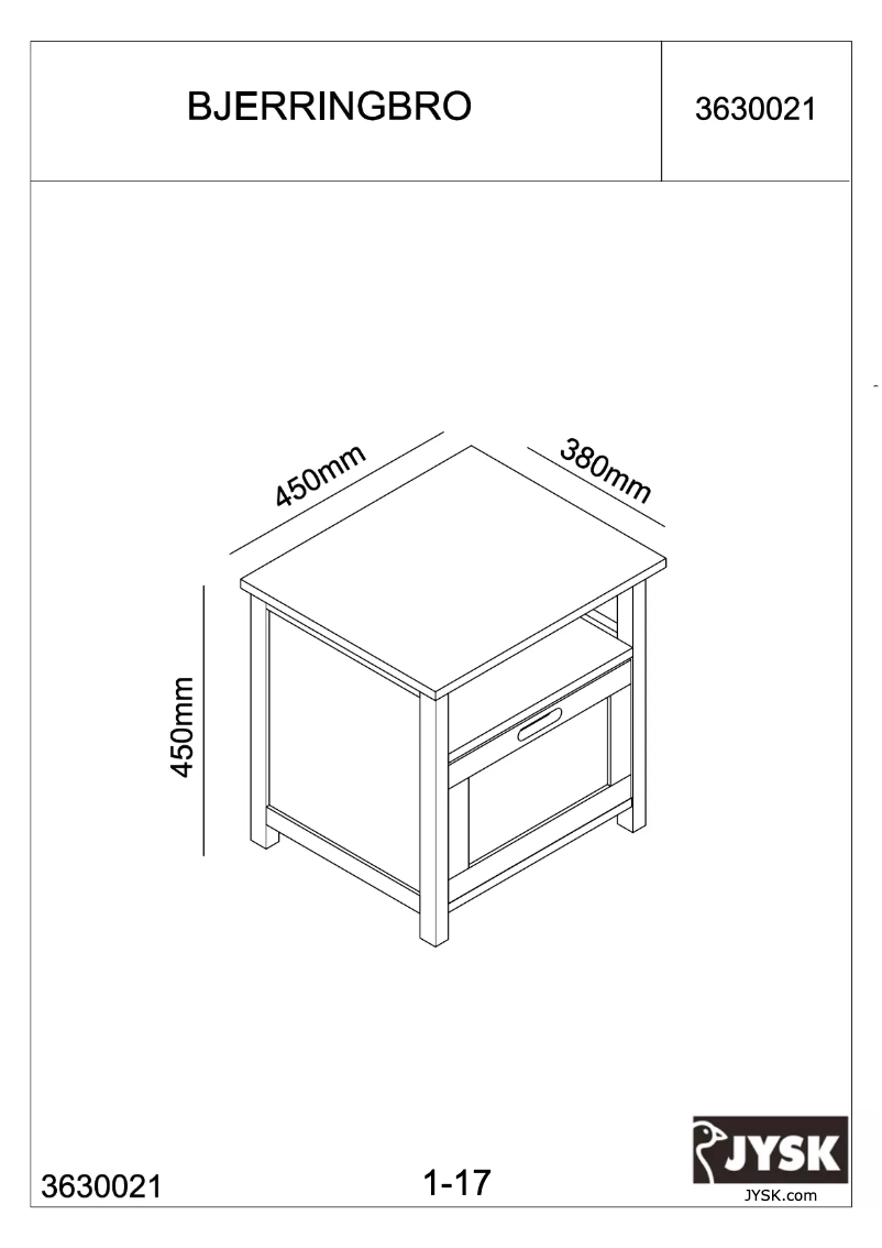 First page image of the manual for Bjerringbro