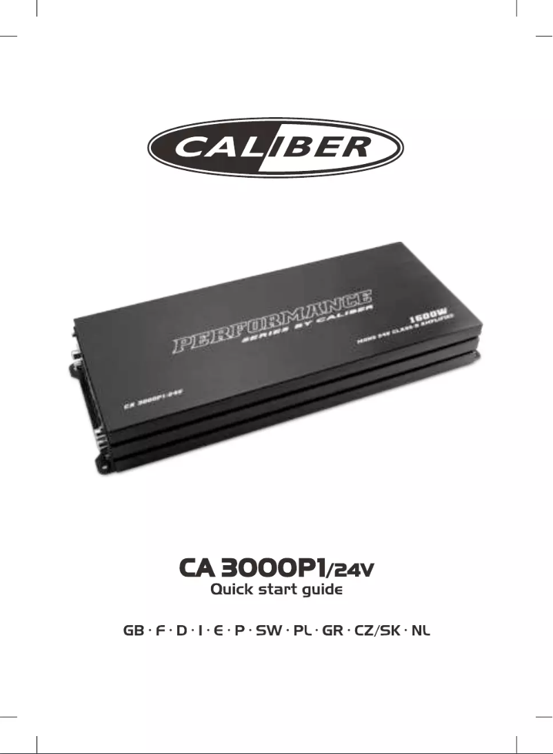First page image of the manual for CA3000P1/24V