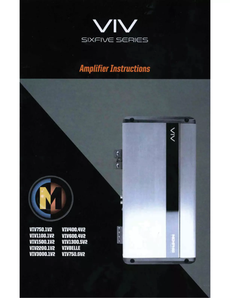 First page image of the manual for VIV600.4V2