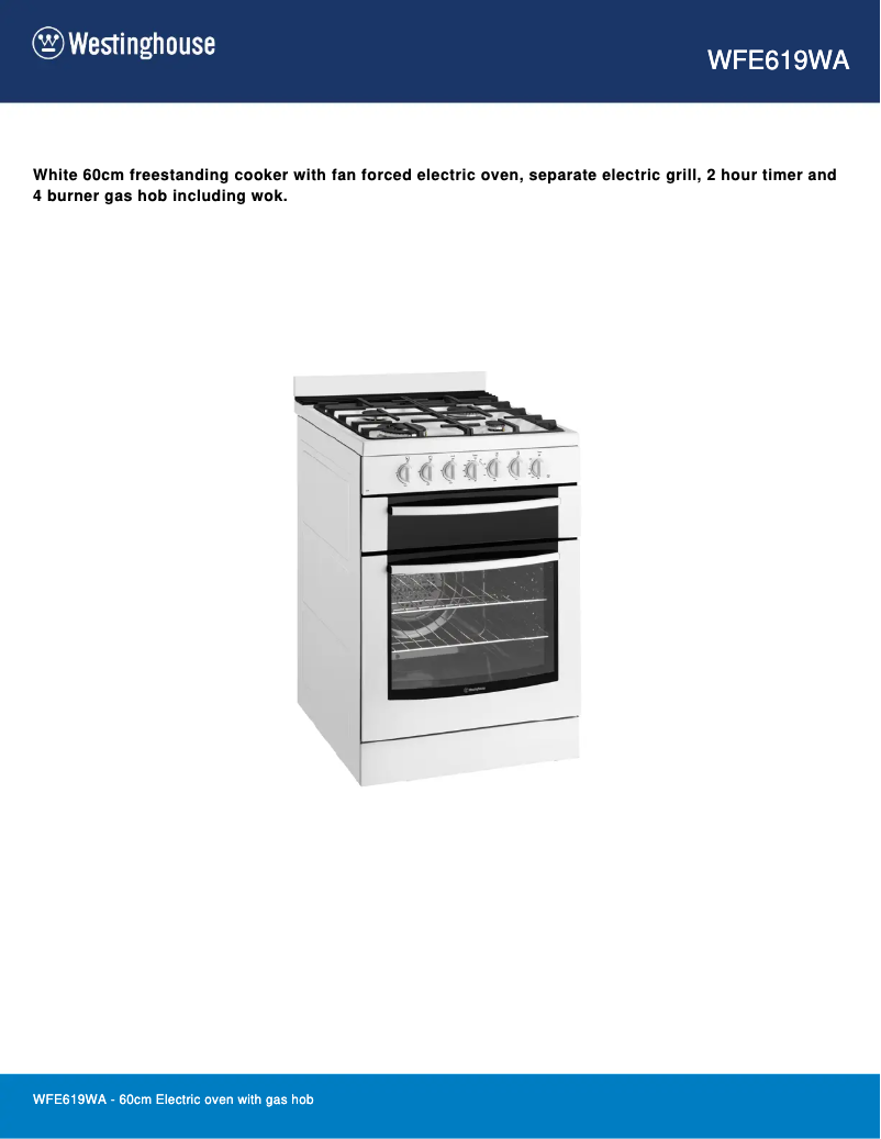 First page image of the manual for WFE619