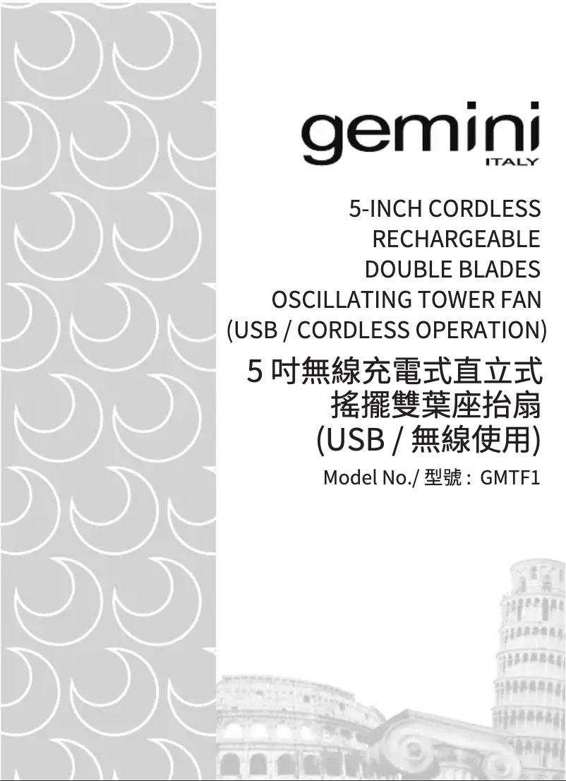 Page 1 of the manual User Manual Gemini GMTF1