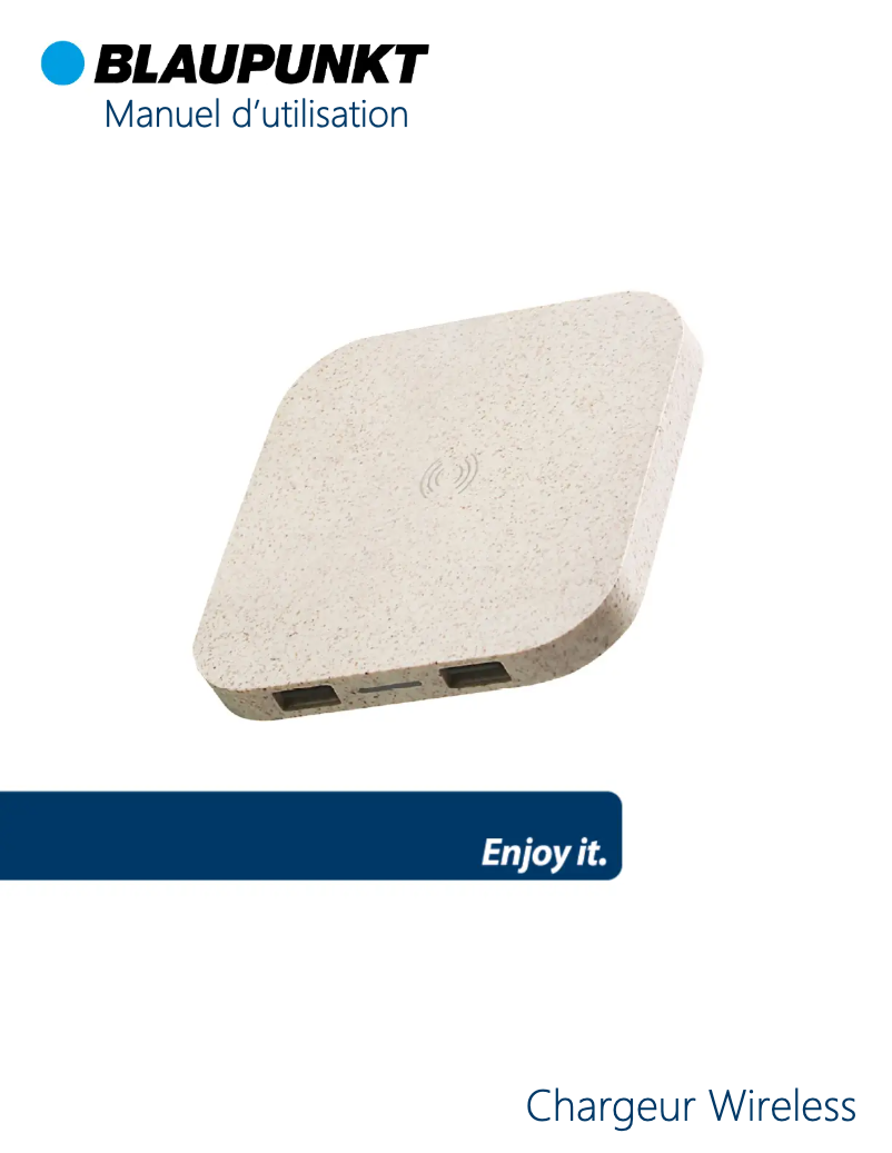 Page 1 of the manual User Manual Blaupunkt BLP0232