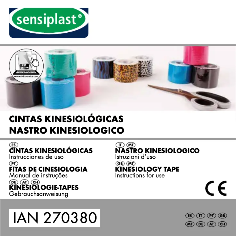 First page image of the manual for IAN 270380